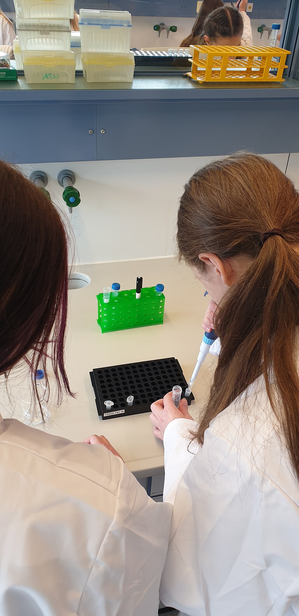 Workshop „Puzzeln mit dem Code des Lebens“ – RNA Isolation im Labor und biomedizinische Datenanalyse am PC