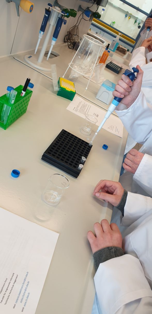 „Puzzeln mit dem Code des Lebens“ – RNA Isolation im Labor und biomedizinische Datenanalyse am PC